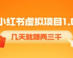 《小红书虚拟项目1.0》账号注册+养号+视频制作+引流+变现，几天就赚两三千-稀缺资源库
