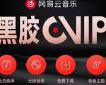 网易云音乐撸黑胶年卡及变现方法，收益可无限放大-稀缺资源库
