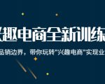兴趣电商全新训练营：打破品销边界，带你玩转“兴趣电商“实现业务增长-稀缺资源库