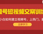 视频号短视频文案训练营:0基础小白如何建立视频号,上热门,能卖货!-稀缺资源库