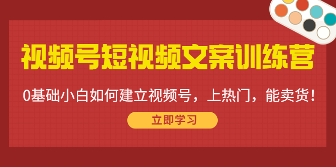 视频号短视频文案训练营：0基础小白如何建立视频号，上热门，能卖货！-稀缺资源库