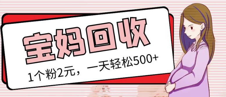最新小红书母婴号宝妈粉回收项目，1个粉2元，一天轻松500+案例分享【粉丝包回收】-稀缺资源库