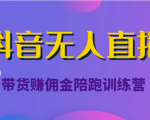 抖音无人直播带货赚佣金陪跑训练营（价值6980元）-稀缺资源库