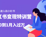 小红书变现特训营：带你快速入局小红书，从0到1月入过万-稀缺资源库