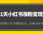 21天小红书涨粉变现营(第4期):带你掌握小红书爆款玩法,月赚10W+秘密-稀缺资源库