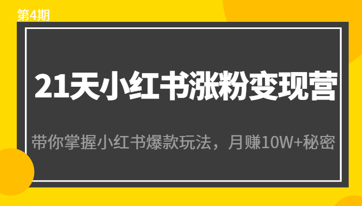 21天小红书涨粉变现营（第4期）：带你掌握小红书爆款玩法，月赚10W+秘密-稀缺资源库