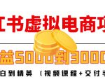 小红书虚拟电商项目:从小白到精英 月收益5000到30000 (视频课程+交付手册)-稀缺资源库