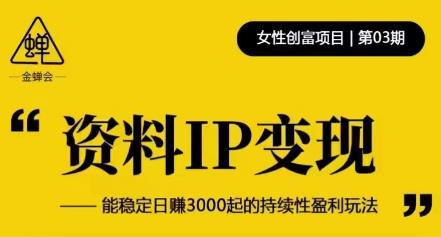 资料IP变现，能稳定日赚3000起的持续性盈利玩法-稀缺资源库