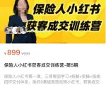 保险人小红书获客成交训练营,0基础高效玩转小红书,可复制的获客成交之路-稀缺资源库