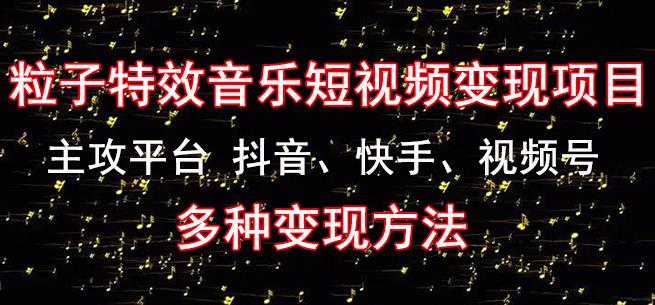 黄岛主《粒子特效音乐短视频变现项目》主攻平台抖音、快手、视频号多种变现方法-稀缺资源库