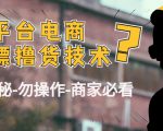 外面收费2980的全平台电商白嫖撸货技术(仅揭秘勿操作-商家防范必看)-稀缺资源库