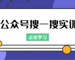 公众号搜一搜实训,收录与恢复收录、 排名优化黑科技,附送工具(价值998元)-稀缺资源库