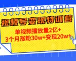 21天视频号变现特训营:单视频播放量2亿+3个月涨粉30w+变现20w+(第14期)-稀缺资源库