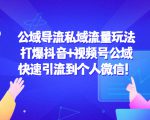 公域导流私域流量玩法:打爆抖音+视频号公域,快速引流到个人微信!-稀缺资源库