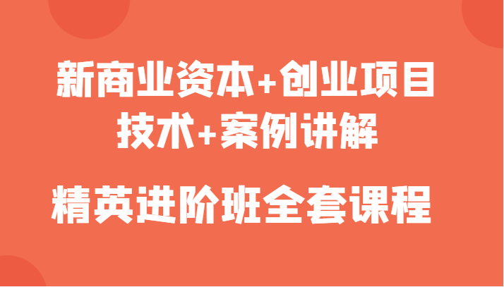 新商业资本+创业项目，技术+案例讲解，精英进阶班全套课程-稀缺资源库