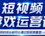 短视频游戏赚钱特训营，0门槛小白也可以操作，日入1000+-稀缺资源库