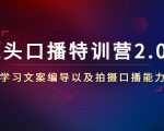镜头口播特训营2.0版，学习文案编导以及拍摄口播能力（50节课时）-稀缺资源库