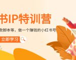 小红书IP特训营：从搭建-制作-爆款脚本等等，做一个赚钱的小红书号-稀缺资源库