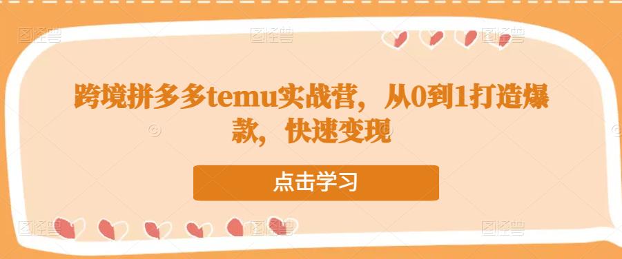 跨境拼多多temu实战营，从0到1打造爆款，快速变现-稀缺资源库