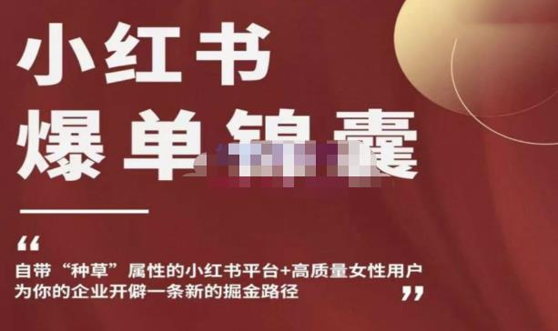 小红书爆单锦囊，自带种草属性+高质量女性用户，为你的企业开辟一条新的掘金路径-稀缺资源库