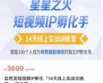 瑶瑶·自然流短视频IP孵化第二期,14天线上实战训练营,赋能100个人成为有数据能赚钱的独立IP孵化手-稀缺资源库