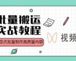 视频号批量搬运实战操作运营赚钱教程,傻瓜式批量制作高质量内容【附视频教程+PPT】-稀缺资源库