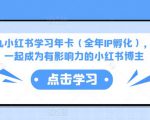 厦九九小红书学习年卡(全年IP孵化),沉浸式学习,一起成为有影响力的小红书博主-稀缺资源库