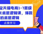 大圣淘宝天猫电商1-7层级盈利增长底层逻辑课,爆款的底层逻辑-稀缺资源库