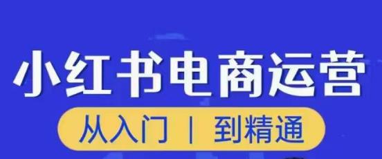 顽石小红书电商高阶运营课程，从入门到精通，玩法流程持续更新-稀缺资源库