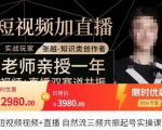 张越·短视频+直播,自然流三频共振起号实操课,短视频所有流量玩法讲解-稀缺资源库