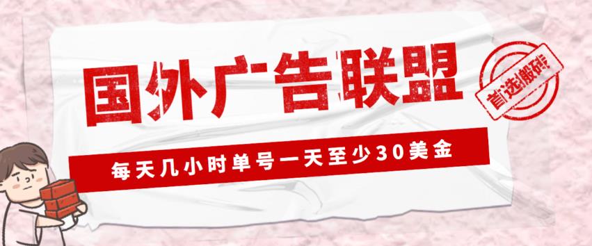 外面收费1980的最新国外LEAD广告联盟搬砖项目，单号一天至少30美金【详细玩法教程】-稀缺资源库