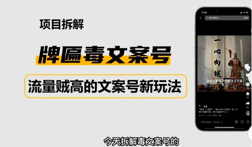 2023抖音快手毒文案新玩法，牌匾文案号，起号快易变现-稀缺资源库