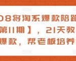 108将淘系爆款陪跑营【第11期】,21天教运营打爆款,帮老板培养运营-稀缺资源库