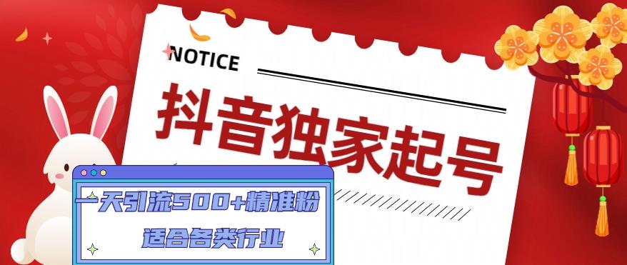 抖音独家起号，一天引流500+精准粉，适合各类行业（9节视频课）-稀缺资源库