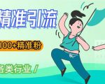 soul精准引流系列课程,一天引流100+精准粉,适合各类行业-稀缺资源库