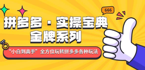 拼多多·实操宝典：金牌系列“小白到高手”带你全方位玩转拼多多各种玩法-稀缺资源库