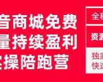 抖音商城搜索持续盈利陪跑成长营,抖音商城搜索从0-1、从1到10的全面解决方案-稀缺资源库