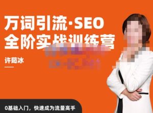 许茹冰·万词引流-SEO全阶实战训练营，0基础入门，快速成为流量高手-稀缺资源库