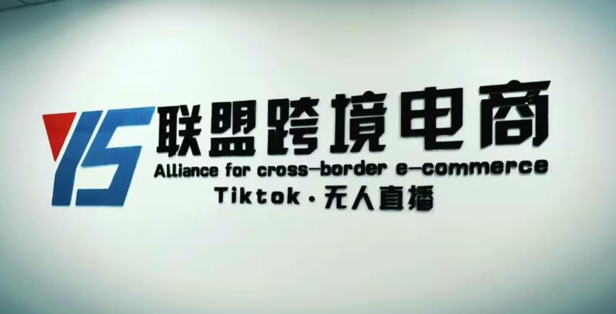 YS联盟·Tiktok无人直播，不出镜不剪辑不拍摄不发货无售后的跨境短视频躺赚玩法-稀缺资源库