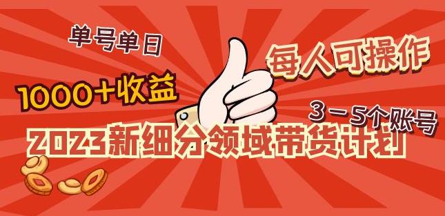 2023新细分领域带货计划：单号单日1000+收益不难，每人可操作3-5个账号-稀缺资源库