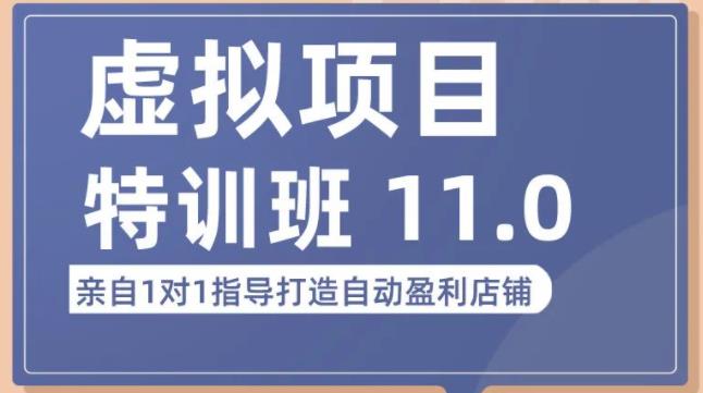 陆明明·虚拟项目特训班（10.0+11.0），0成本获取虚拟素材，0基础打造自动盈利店铺-稀缺资源库