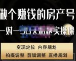 刘广标·同城房产号线上陪跑课,拍摄、剪辑、写文案、直播,做一个具有潜力价值的房产号-稀缺资源库