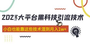 大平台黑科技引流技术,小白也能靠这些技术混到月入1w+(2022年的课程)-稀缺资源库