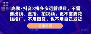 高鹏·抖音X拼多多运营项目,不需要出镜、直播、拍视频,不需要花钱推广,不用囤货,不用自己发货-稀缺资源库