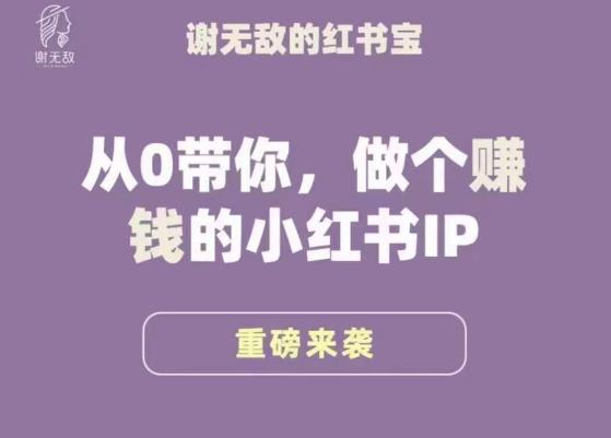谢无敌·小红书运营大宝典，从0带你做个赚钱的小红书IP-稀缺资源库