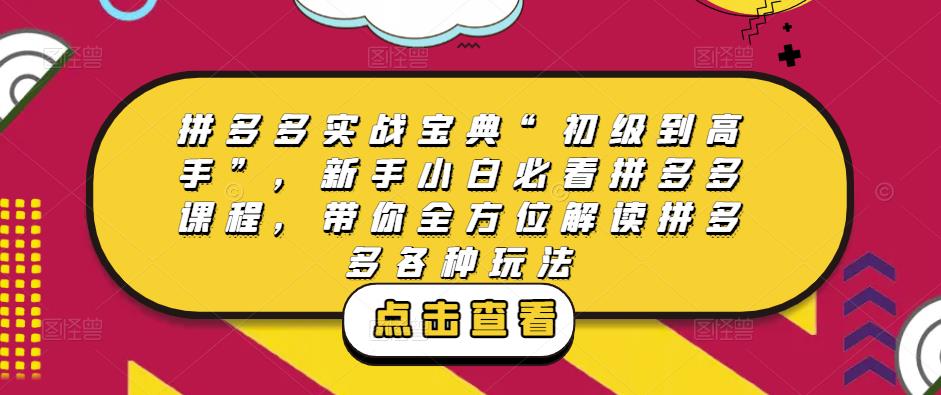 拼多多实战宝典“初级到高手”，新手小白必看拼多多课程，带你全方位解读拼多多各种玩法-稀缺资源库