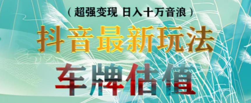 抖音最新无人直播变现直播车牌估值玩法项目，轻松日赚几百+【详细玩法教程】-稀缺资源库