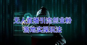外面收费3980的无人直播引流创业粉落地实操玩法，单日引100+精准创业粉-稀缺资源库
