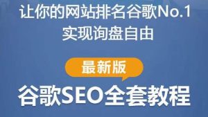 谷歌SEO实战教程:如何让你的网站在谷歌排名第一,内容从入门到高阶,适合个人及团队-稀缺资源库