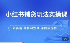 小红书铺货玩法实操课,流量大,竞争小,非常好做,新赛道,可复制性强,可团队操作-稀缺资源库